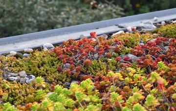 the cost of Thornliebank green roof installation