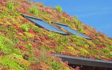 Thornliebank living roof systems